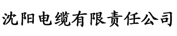 香蕉视频爽爽看电缆厂logo